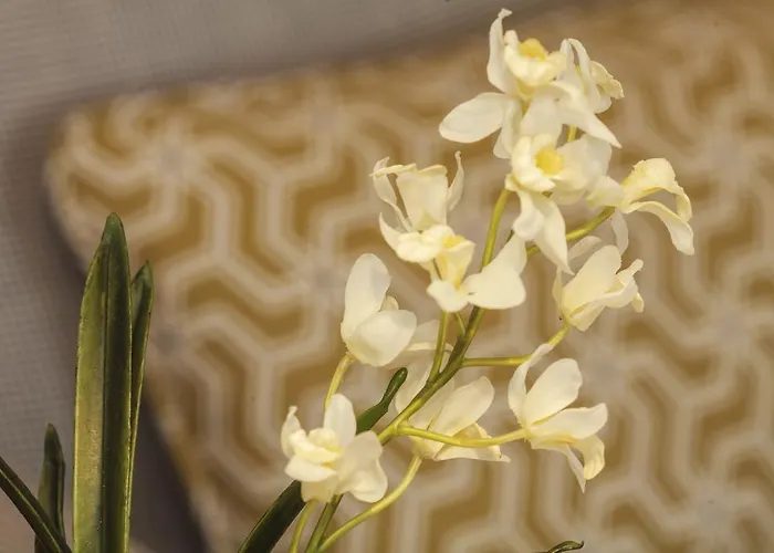 Διαμέρισμα Bo - Almada