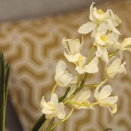 Apartment Bo - Almada